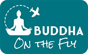 Buddha on the fly logo