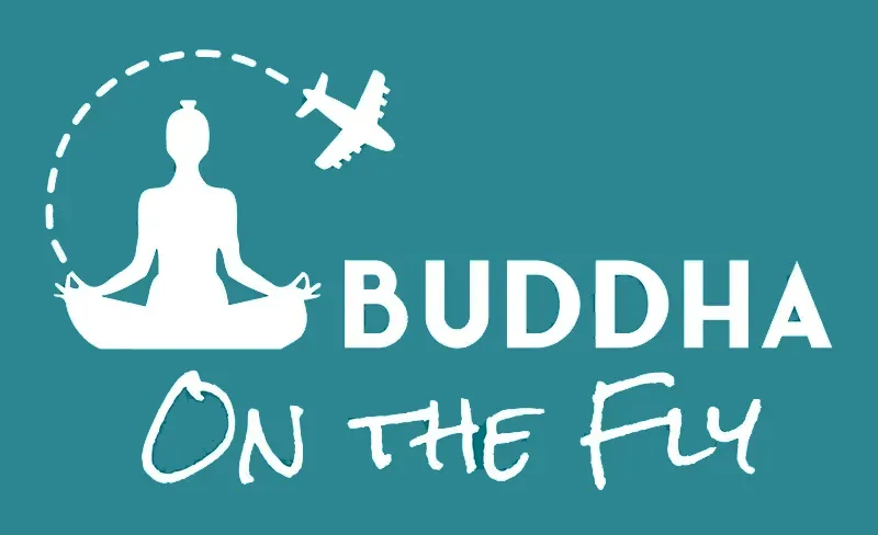 Buddha on the fly logo